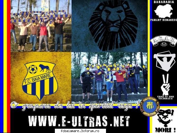 2-0 fc baia mare - fc